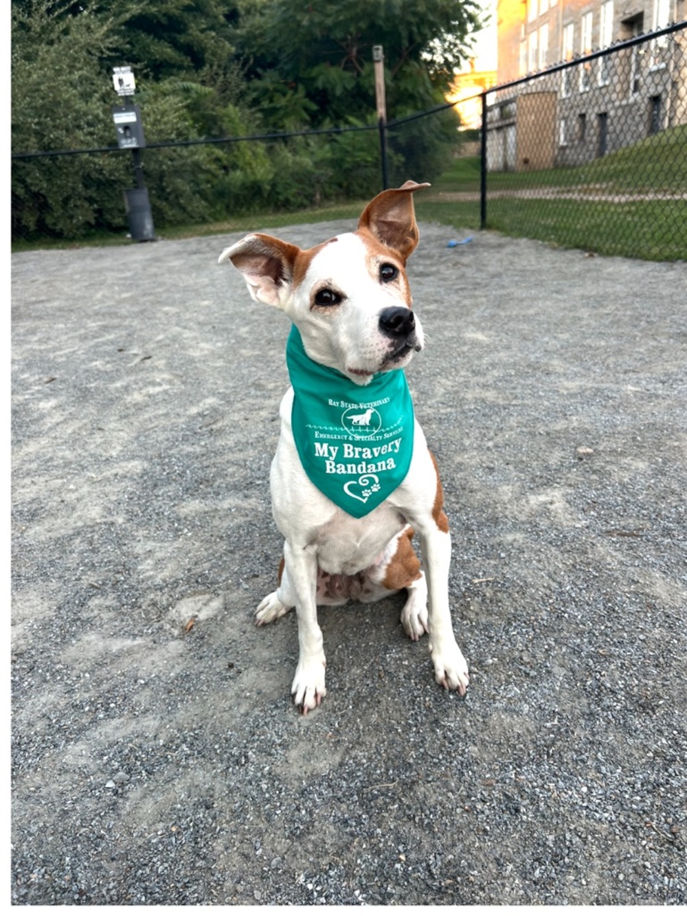 MAKE AN OFFER & Support Magnolias Cancer Tx- ALL OFFERS CONSIDERED!